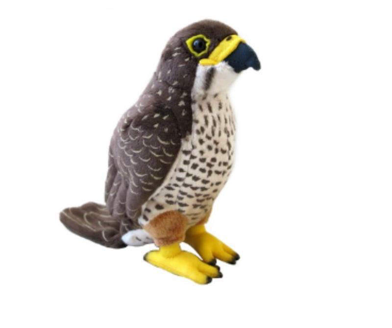 Karearea (NZ Falcon) Sound Bird