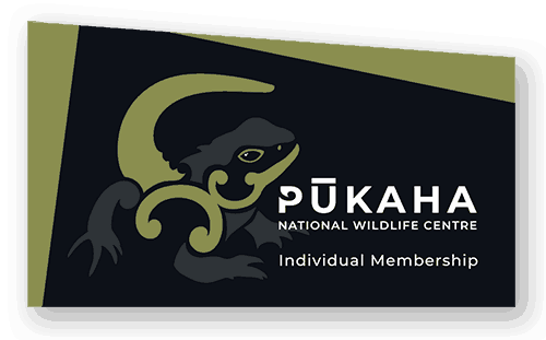 Individual Membership