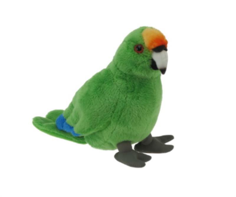 Orange fronted Kakariki Sound Bird